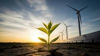 Green plant seedling growing in desert soil with wind turbines and solar panels at sunset representing renewable energy and environmental sustainability.