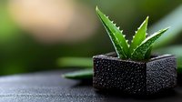 Succulent plant with spiky green leaves in a textured black pot, isolated on blurred background, suitable for home decor and gardening design projects.