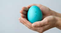 Hands holding bright turquoise speckled egg against white background. Isolated design element suitable for Easter, spring celebrations, gift concepts, and creative projects.