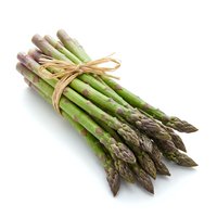 Fresh green asparagus spears bundled with twine, isolated on white background. Suitable for culinary, food, cooking, recipe, nutrition, vegetable, organic, and healthy eating design projects.