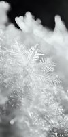 Delicate ice crystals form intricate feather-like patterns against blurred winter background, creating ethereal macro photography of natural frost formations.