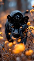 Majestic black panther with piercing amber eyes stalking through orange wildflowers at dusk, creating dramatic contrast between dark fur and glowing botanical elements.