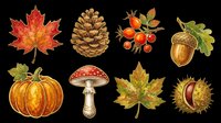 Red and orange autumn maple leaf, brown pinecone, orange berries with leaves, acorn with oak leaf, orange pumpkin, red mushroom, yellow maple leaf, and spiky chestnut isolated on transparent background. Ready for t-shirt designs, stickers, clipart, sublimation, and print-on-demand products.