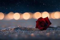 Single red rose lying on glittering surface against blurred bokeh lights background, creating romantic atmosphere with starry night sky effect.