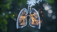 Glowing translucent human lungs with golden light effect on dark background with bokeh and sparks, medical anatomy visualization showing bronchial tree structure.