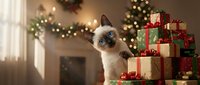 Siamese kitten with blue eyes sitting beside wrapped holiday gifts and festive garland decorations, perfect for seasonal marketing and greeting card designs.