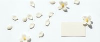 Scattered white flower petals and blooms arranged with blank cream envelope on neutral background for wedding, greeting card, or stationery design.
