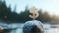 Golden dollar sign standing on rock in water with blurred forest background at sunset, symbolizing financial stability and wealth management.