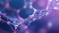 Delicate water drops on spider web strands against purple and blue bokeh background create magical natural macro photography effect for nature and abstract designs.