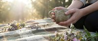 Woman hands holding ceramic mug with hot beverage during outdoor picnic on blanket with dried flowers in warm golden sunlight creating cozy autumn atmosphere.