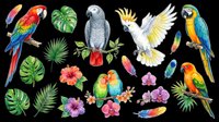 Colorful parrots, macaws, and tropical birds with exotic plants, flowers, and feathers isolated on transparent background. Ready for t-shirts, clipart, stickers, sublimation, and print-on-demand designs.