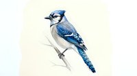Blue jay bird perched on branch with detailed feathers and natural pose against soft neutral background for wildlife and nature projects.