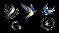 Watercolor swallow birds set isolated on transparent background, ready for t-shirt design, stickers, clipart, sublimation, and print on demand projects.