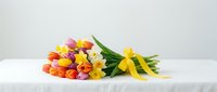 Colorful spring bouquet of tulips and daffodils tied with yellow ribbon lying on white linen surface, fresh seasonal flowers for greeting cards.