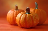 Fresh orange pumpkins arranged on warm red background with selective focus. Natural autumn decoration for seasonal harvest and Halloween designs.