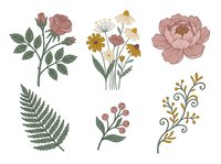Botanical floral elements collection featuring rose, peony, daisy, fern and decorative branches. Isolated hand-drawn illustrations on white background, ready for design projects, invitations and branding.