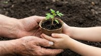 Adult and child hands holding seedling in soil-filled pot together, symbolizing environmental care, gardening education, and sustainable growth for eco-friendly projects.