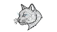 Hand-drawn cat head portrait in vintage engraving style with detailed line work and crosshatching technique isolated on white background for design projects.