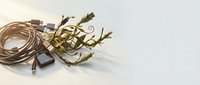 Elegant golden ribbon with chocolate pieces and decorative leaves on white background for luxury gift wrapping and festive celebrations.