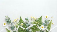 Natural botanical flat lay with eucalyptus leaves, fern fronds and white daisies arranged on light background for organic wellness and spa design concepts.