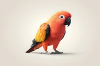 Vibrant sun conure parrot with bright orange and yellow plumage standing against neutral background, isolated design element for creative projects.
