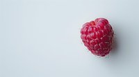 Fresh ripe red raspberry isolated on white background with soft shadow. Clean minimalist food photography for healthy eating and recipe designs.