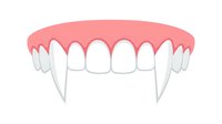 Vampire fangs with pink gums isolated on white background, ready for Halloween designs, costumes, graphics, clipart and digital projects.