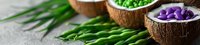 Colorful natural spa ingredients in coconut shell bowls with green beans and tropical leaves on stone background.