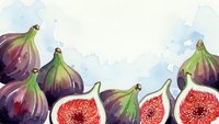 Fresh ripe figs with red flesh arranged on white background. Watercolor illustration of purple fruit with green stems for culinary design projects.