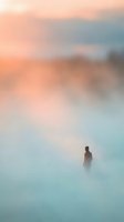 Solitary figure standing in dense fog at sunrise, creating atmospheric mood for contemplation, isolation, and introspective themes in editorial and creative projects.