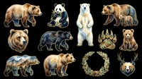 Watercolor bear clipart set with grizzly, panda, polar, black bear, cub, paw print, wreath and deer head, isolated on transparent background for stickers, t-shirt design, print on demand.