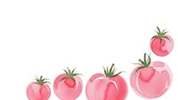 Pink tomatoes in ascending size order isolated on white background for healthy food and organic vegetable design projects.