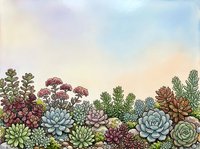 Colorful succulent garden border with various cacti and desert plants against pastel watercolor sky background for botanical design projects.