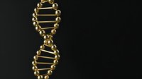 Golden DNA double helix structure on black background, metallic spheres and rods forming genetic molecule spiral shape, science and biotechnology concept.