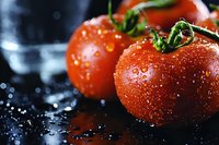 Fresh ripe red tomatoes with water droplets on dark surface, organic vegetables for healthy cooking and culinary preparations.