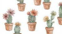 Watercolor cacti and succulents in terracotta pots seamless pattern on white background. Desert plants botanical illustration for home decor and textile design.