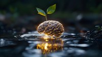 Brain with green sprout growing on water surface with golden sunset reflection creating surreal scene about growth, knowledge and mental health awareness.