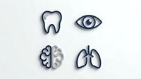 Four navy blue medical icons on white background: tooth, eye, brain, and lungs, with subtle shadow effect for healthcare and wellness design use.