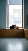 Two cats sitting together on wooden windowsill watching snowfall outside modern home interior with teal walls and contemporary furniture.