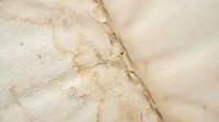 Aged parchment paper with natural brown stains and weathered texture for vintage design projects and historical document backgrounds.