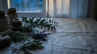 Dried lavender sprigs and eucalyptus branches arranged on rustic wooden table near window for natural aromatherapy and home decor crafting projects.