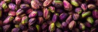 Fresh raw pistachios with purple and green shells scattered in panoramic composition, natural food background showing texture and pattern of nuts.
