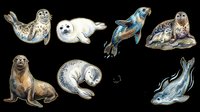 Isolated marine mammals collection featuring seals, sea lions, and walruses in various poses on transparent background. Ready for clipart, t-shirt design, print-on-demand products, stickers, and sublimation projects.