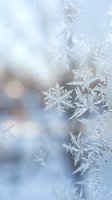 Delicate frost crystals and snowflakes forming intricate patterns on glass surface with soft bokeh background creating magical winter atmosphere.