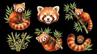 Red panda illustrations with bamboo leaves isolated on transparent background, ready for t-shirt design, stickers, clipart, sublimation and print-on-demand products.