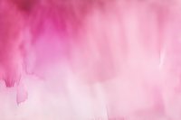 Soft pink watercolor background with gentle gradient and flowing texture creates dreamy atmospheric effect. Abstract artistic wash technique for design projects.