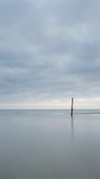Solitary wooden post stands in calm shallow water under overcast sky, creating minimalist coastal landscape with mirror-like reflections for serene nature and travel concepts.
