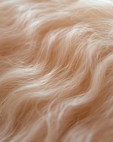 Soft beige fur texture with flowing wavy pattern creates natural organic background. Close up macro photography shows delicate strands and gentle movement.
