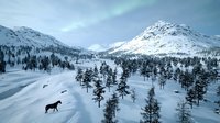 Lone moose traversing snowy mountain landscape under ethereal northern lights, pristine wilderness with snow-covered peaks and scattered evergreen trees in winter valley.