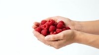Hands holding fresh red raspberries isolated on white background, ready for food packaging, recipe blogs, healthy eating content, and nutritional product marketing.